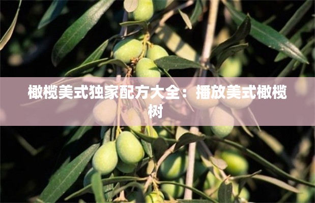 橄榄美式独家配方大全：播放美式橄榄树 