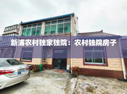 新浦农村独家独院：农村独院房子 