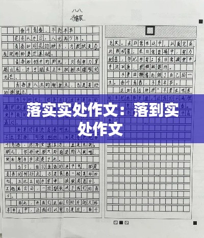 落实实处作文：落到实处作文 
