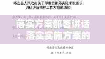 落实方案部署讲话：落实实施方案的工作方案 
