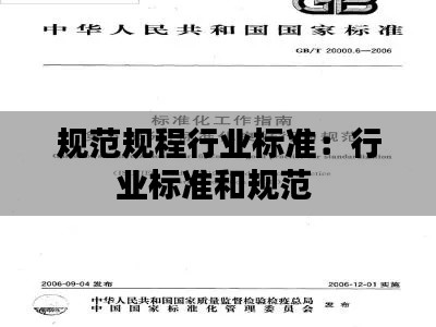 规范规程行业标准：行业标准和规范 