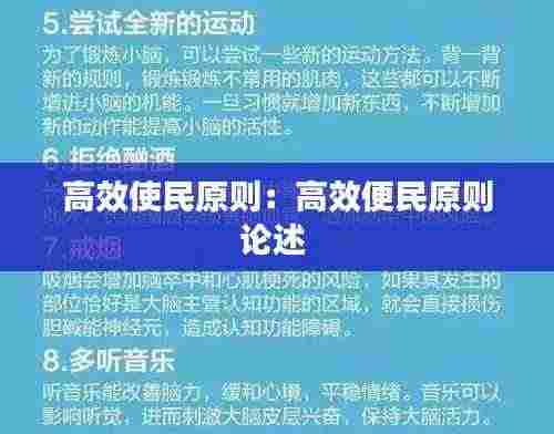 高效使民原则：高效便民原则论述 