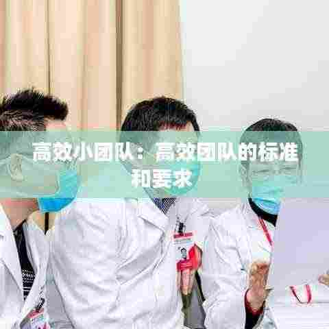 高效小团队：高效团队的标准和要求 