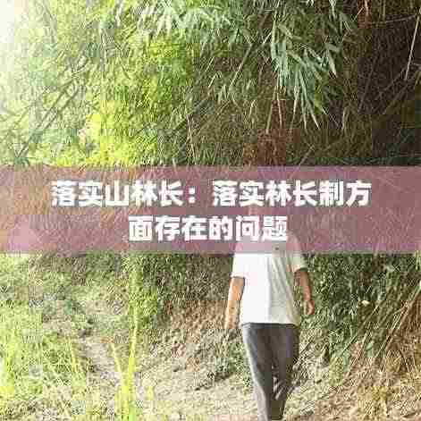 落实山林长：落实林长制方面存在的问题 
