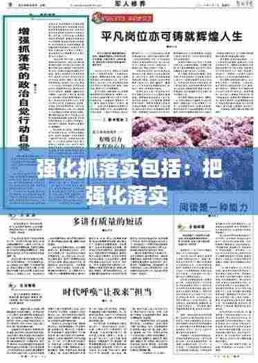 强化抓落实包括：把强化落实 