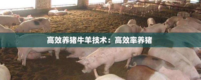 鸟云之阵 第4页