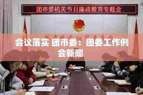 会议落实 团市委：团委工作例会新闻 