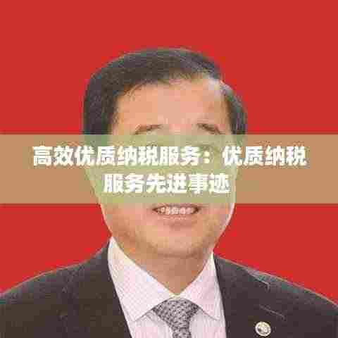 高效优质纳税服务：优质纳税服务先进事迹 