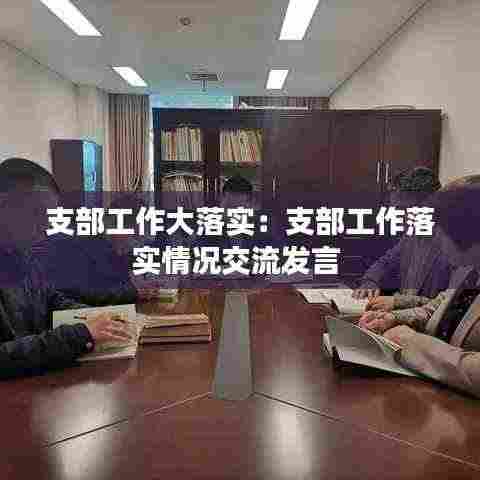 支部工作大落实：支部工作落实情况交流发言 