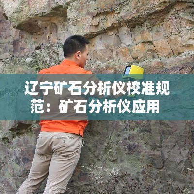 辽宁矿石分析仪校准规范：矿石分析仪应用 