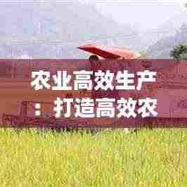 农业高效生产：打造高效农业 