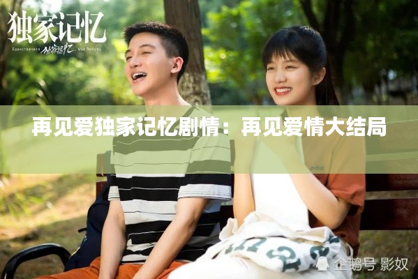 再见爱独家记忆剧情：再见爱情大结局 
