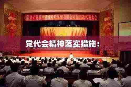 党代会精神落实措施： 