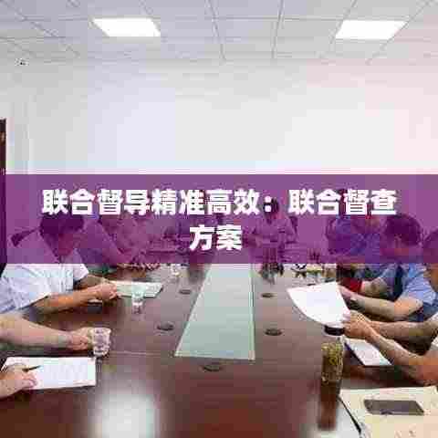 联合督导精准高效：联合督查方案 