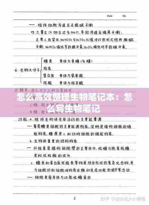 怎么高效整理生物笔记本：怎么写生物笔记 