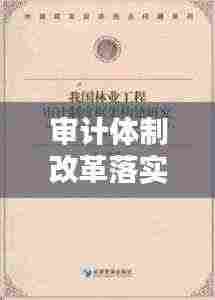 审计体制改革落实举措：审计 体制机制 