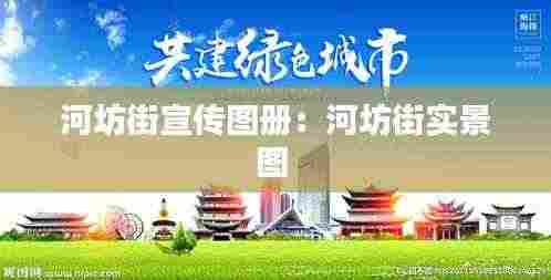 河坊街宣传图册：河坊街实景图 