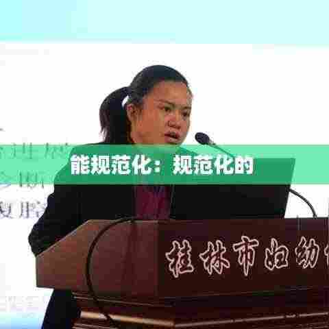 能规范化：规范化的 