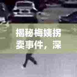 揭秘梅姨拐卖事件，深度解析百度下的真相探索