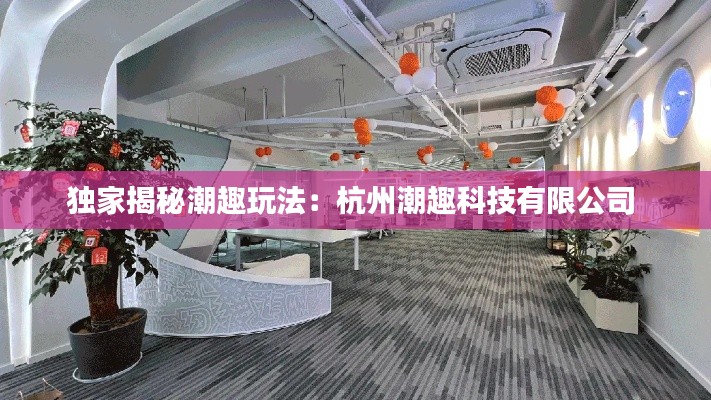 独家揭秘潮趣玩法：杭州潮趣科技有限公司 