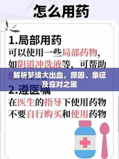 解析梦境大出血，原因、象征及应对之策