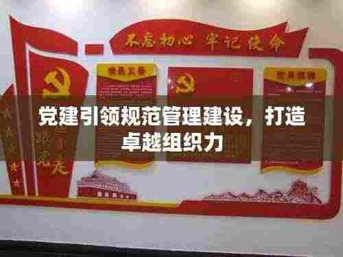 党建引领规范管理建设，打造卓越组织力