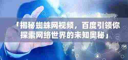 「揭秘蜘蛛网视频，百度引领你探索网络世界的未知奥秘」