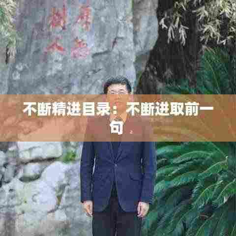 不断精进目录：不断进取前一句 