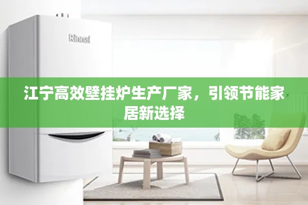 江宁高效壁挂炉生产厂家，引领节能家居新选择