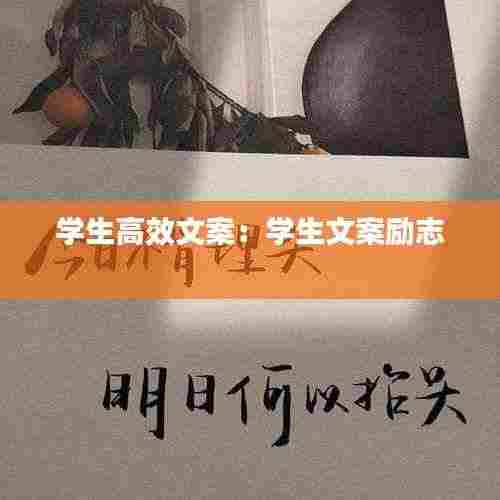 学生高效文案：学生文案励志 