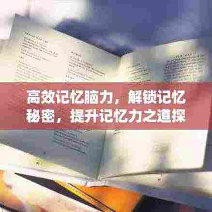 高效记忆脑力，解锁记忆秘密，提升记忆力之道探索