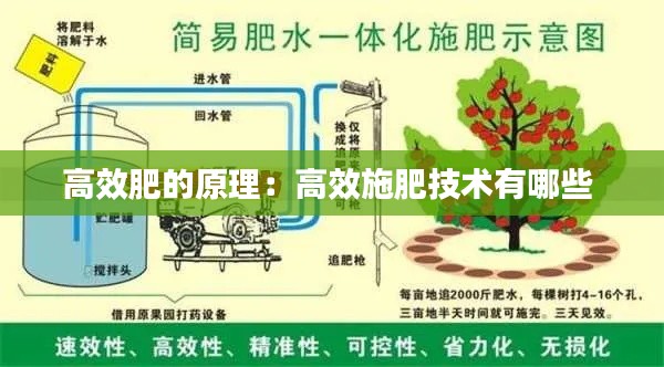 容光焕发 第4页