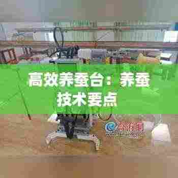 高效养蚕台：养蚕技术要点 