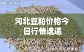 腾龙换鸟 第4页