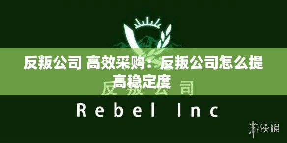 反叛公司 高效采购：反叛公司怎么提高稳定度 