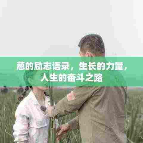 葱的励志语录，生长的力量，人生的奋斗之路
