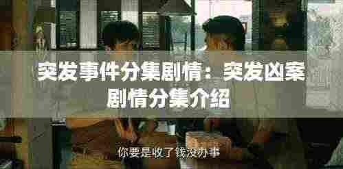 突发事件分集剧情：突发凶案剧情分集介绍 