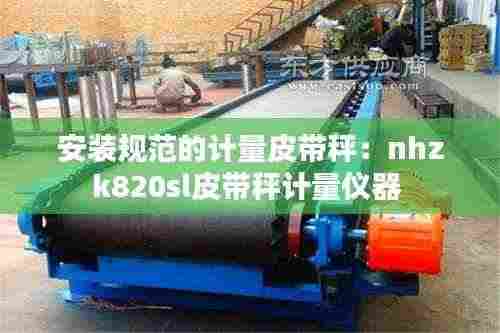 安装规范的计量皮带秤：nhzk820sl皮带秤计量仪器 