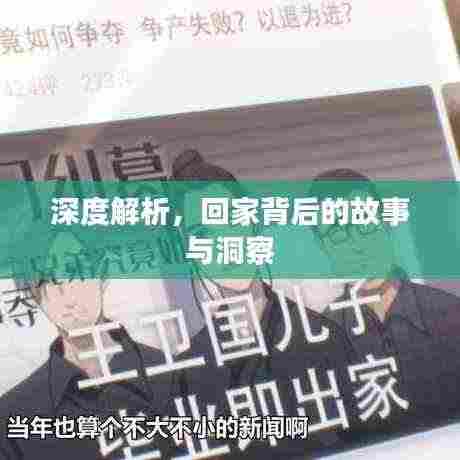 深度解析，回家背后的故事与洞察