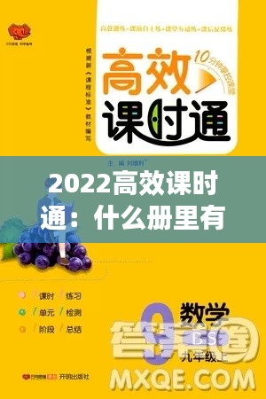 2022高效课时通：什么册里有课时考 