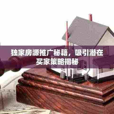 独家房源推广秘籍，吸引潜在买家策略揭秘