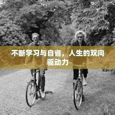 不断学习与自省，人生的双向驱动力