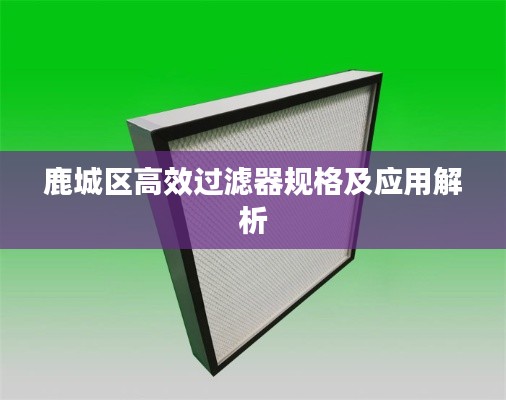鹿城区高效过滤器规格及应用解析