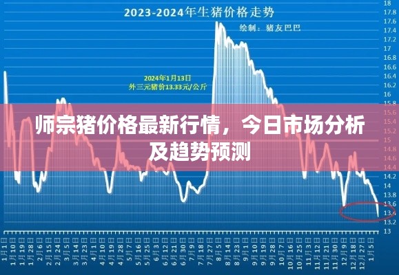 师宗猪价格最新行情，今日市场分析及趋势预测