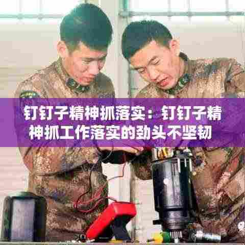 钉钉子精神抓落实：钉钉子精神抓工作落实的劲头不坚韧 