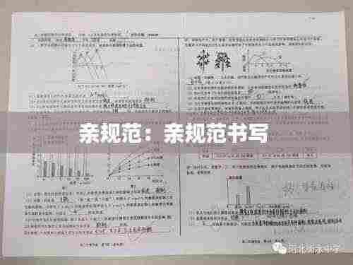 亲规范：亲规范书写 