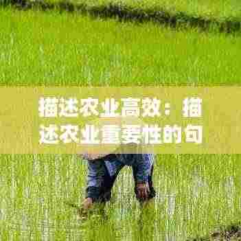 描述农业高效：描述农业重要性的句子 
