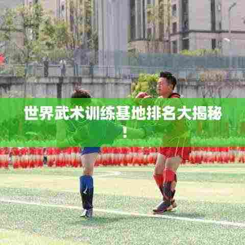 世界武术训练基地排名大揭秘！