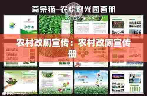 农村改厕宣传：农村改厕宣传册 