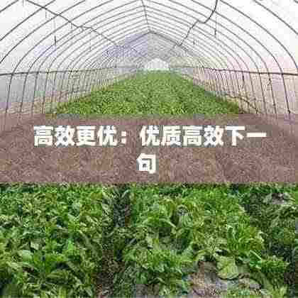 高效更优：优质高效下一句 